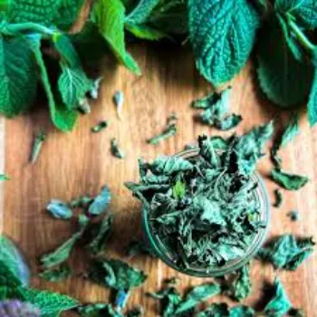 Best Dry Mint Leaves